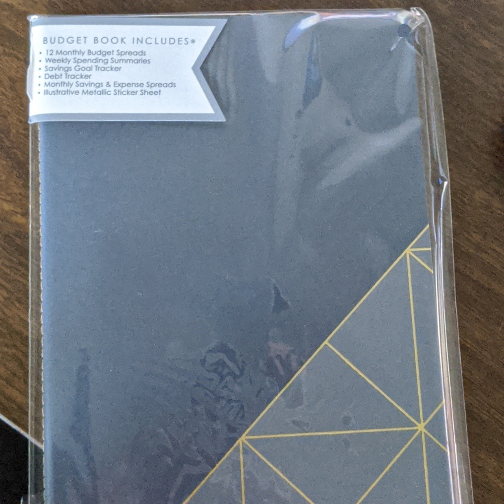 Erin Condren Budget Book